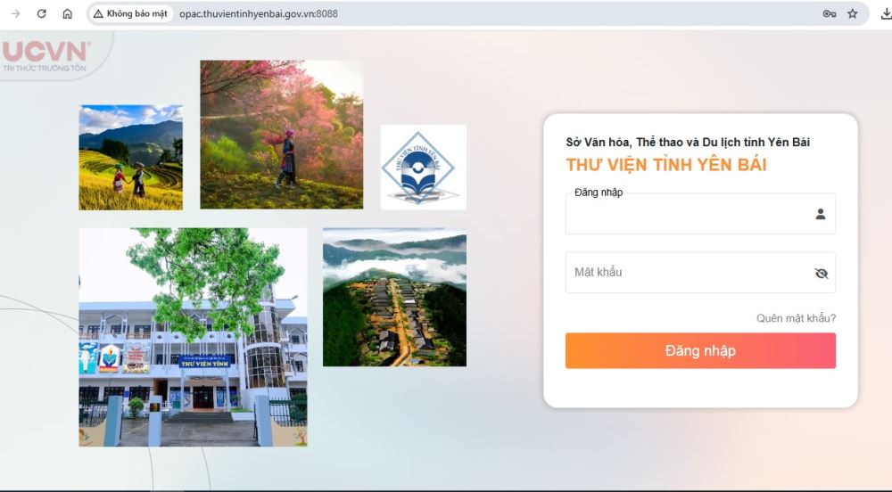 Tuổi trẻ Thư viện tỉnh Yên Bái tham gia đẩy mạnh công cuộc chuyển đổi số tại đơn vị